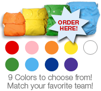 2009 Color Palette